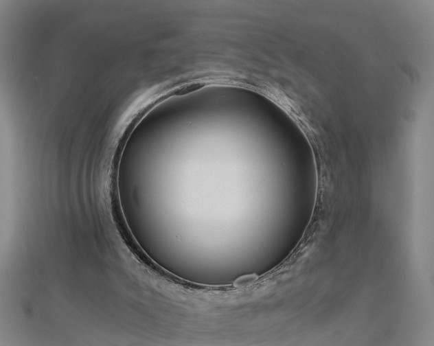 X0000113000007200909031303