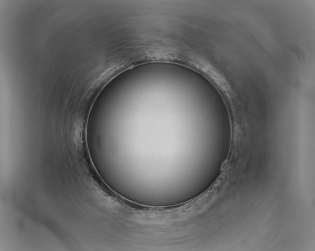 X0000113000009200909031303