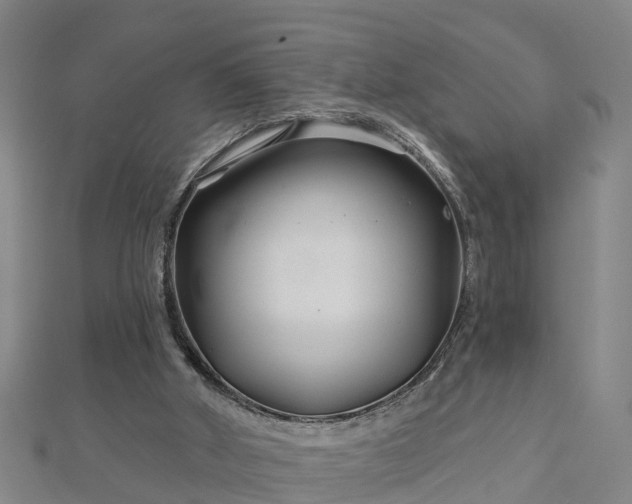 X0000113000010200909031303