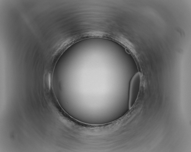 X0000113000013200909031302