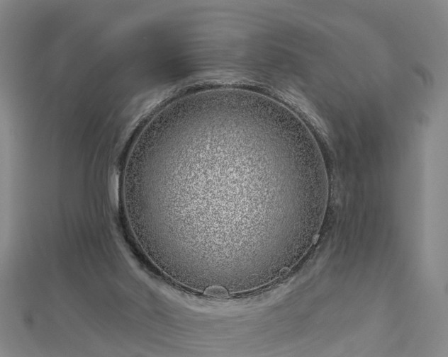 X0000113000014200909031302