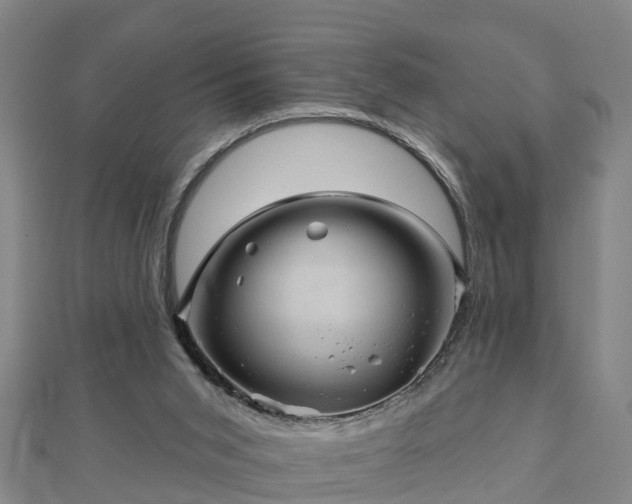 X0000113000015200909031302