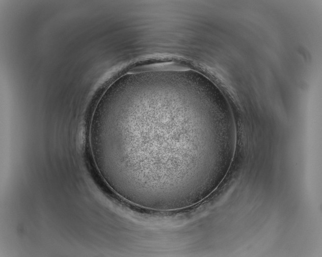 X0000113000016200909031302