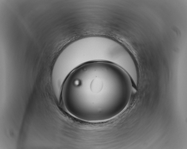 X0000113000017200909031302