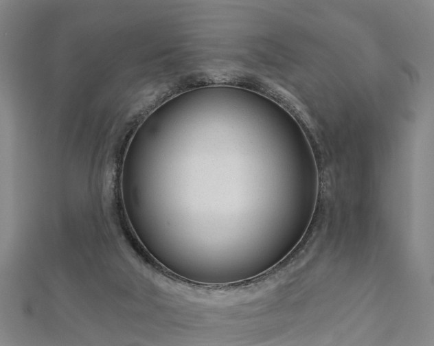 X0000113000018200909031302