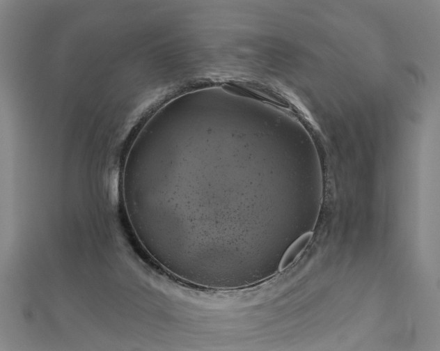 X0000113000019200909031302