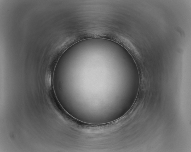 X0000113000021200909031302