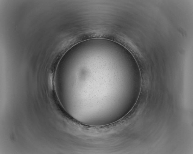 X0000113000022200909031302