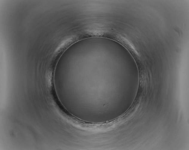 X0000113000023200909031302