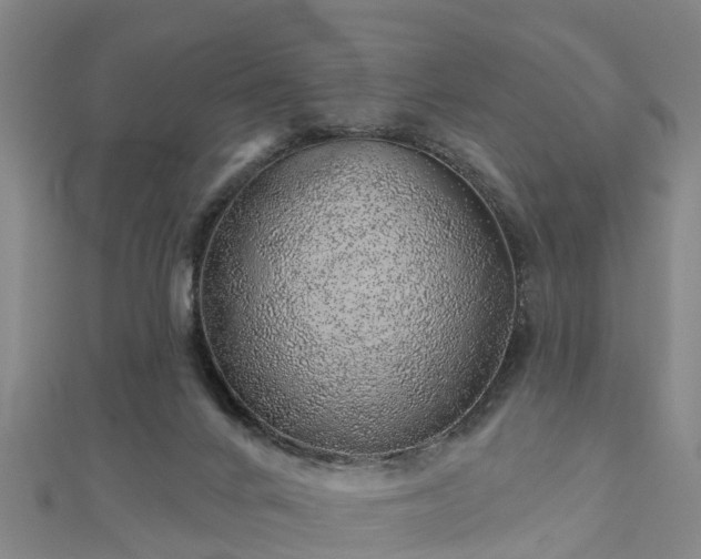 X0000113000024200909031302