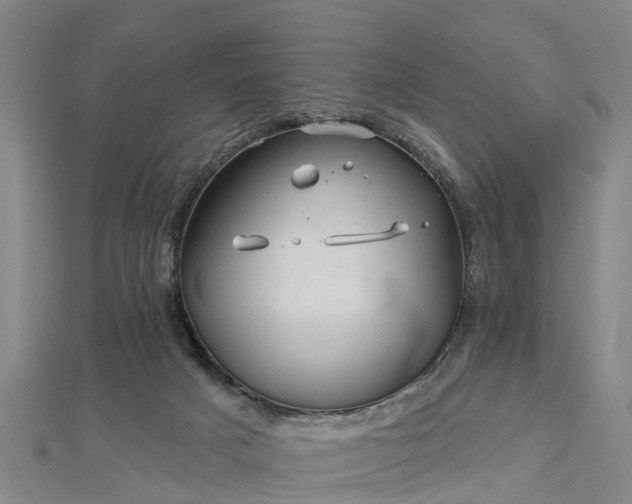 X0000113000025200909031302