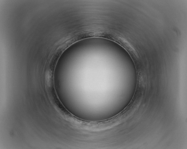 X0000113000026200909031302