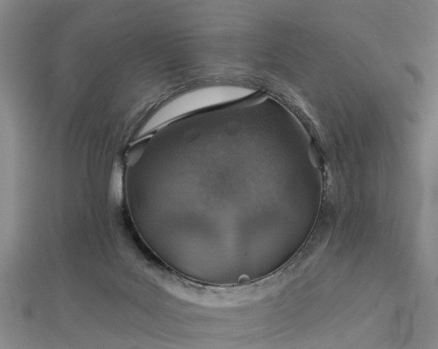 X0000113000027200909031302