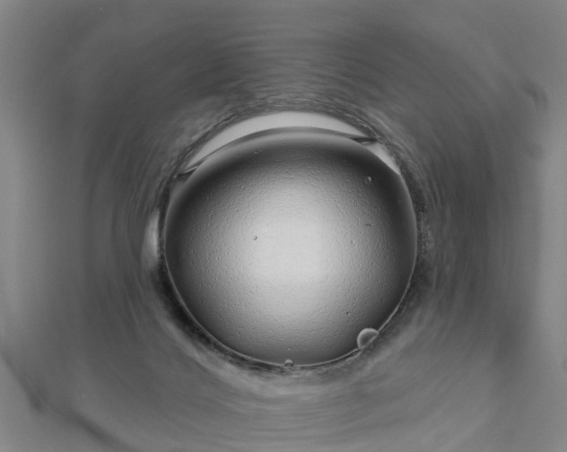 X0000113000028200909031302