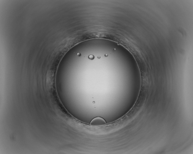 X0000113000030200909031302