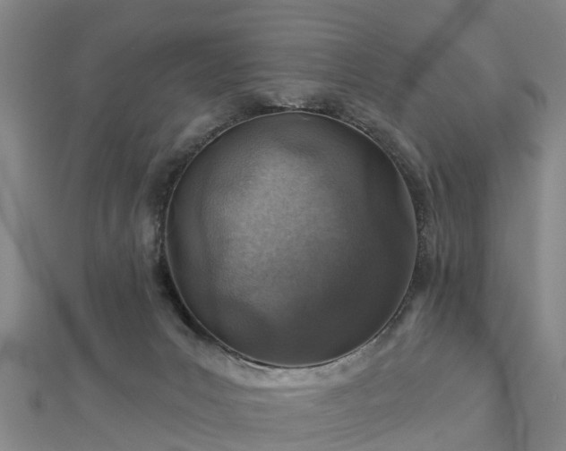 X0000113000031200909031302