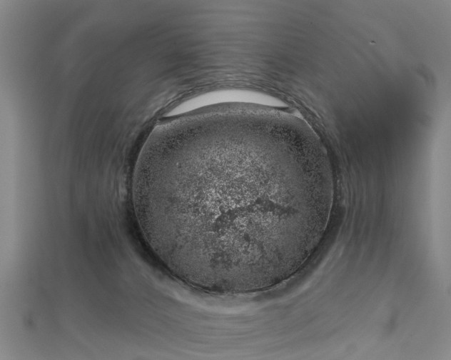 X0000113000032200909031302