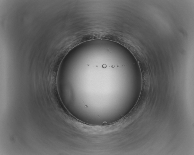 X0000113000034200909031302