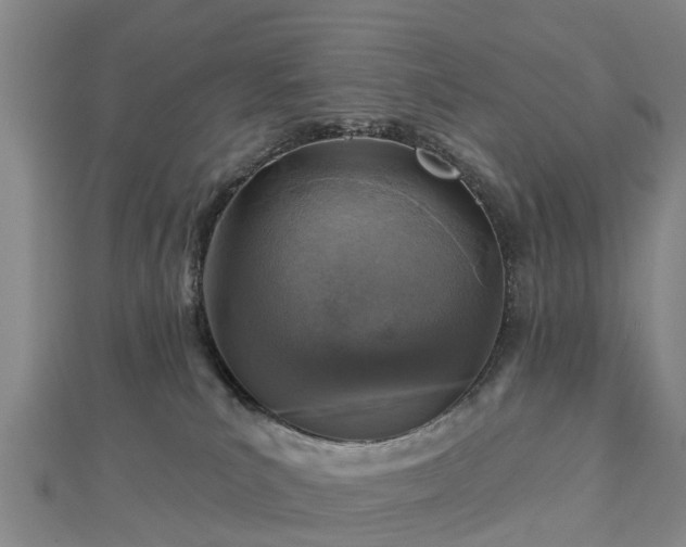 X0000113000039200909031302