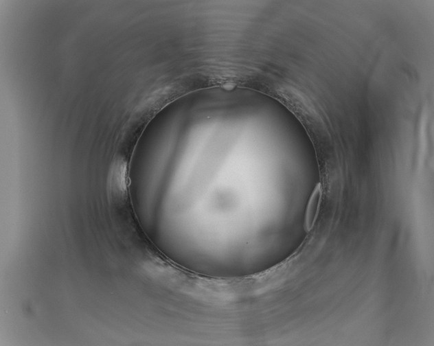 X0000113000041200909031302