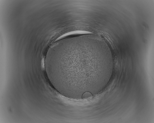 X0000113000042200909031302