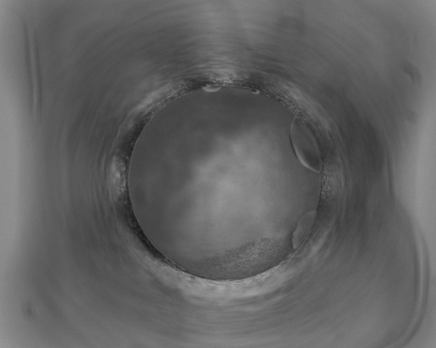 X0000113000043200909031302