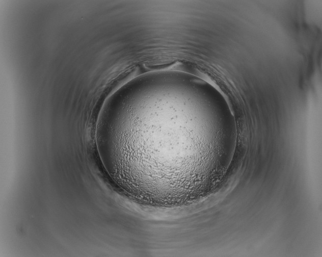 X0000113000044200909031302