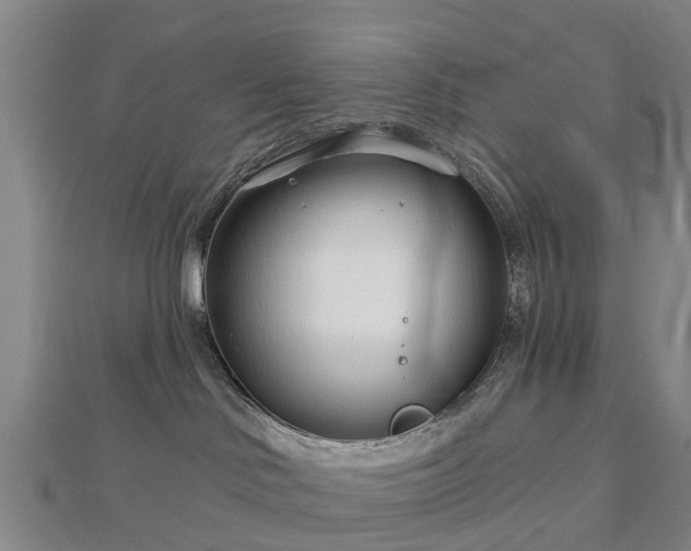 X0000113000046200909031302