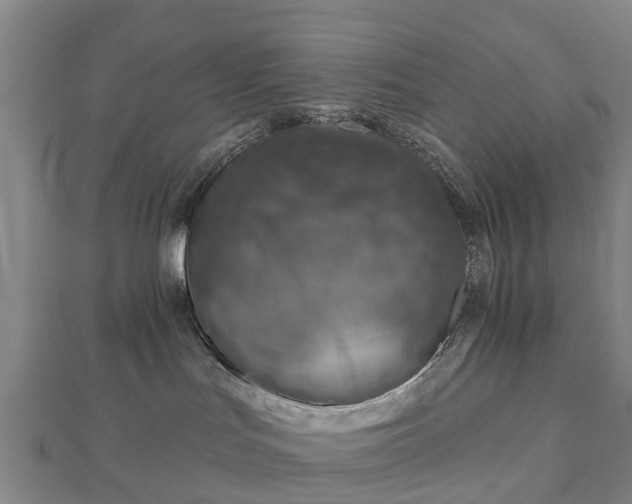 X0000113000047200909031302