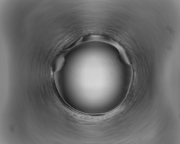 X0000113000048200909031302