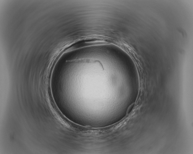 X0000113000049200909031301