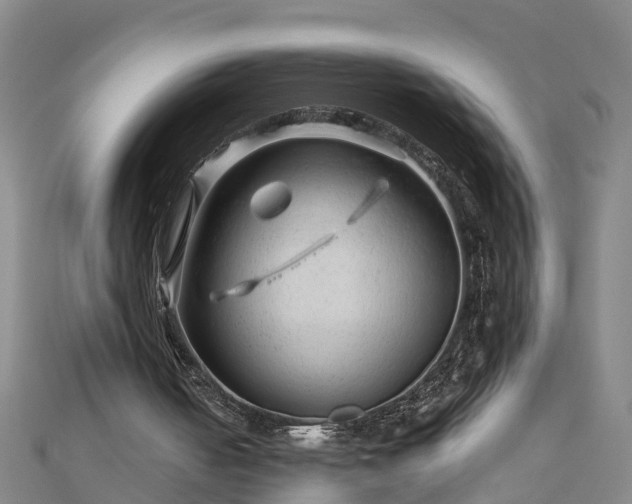 X0000113000050200909031301