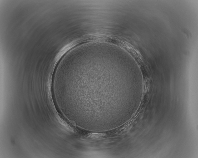 X0000113000051200909031301