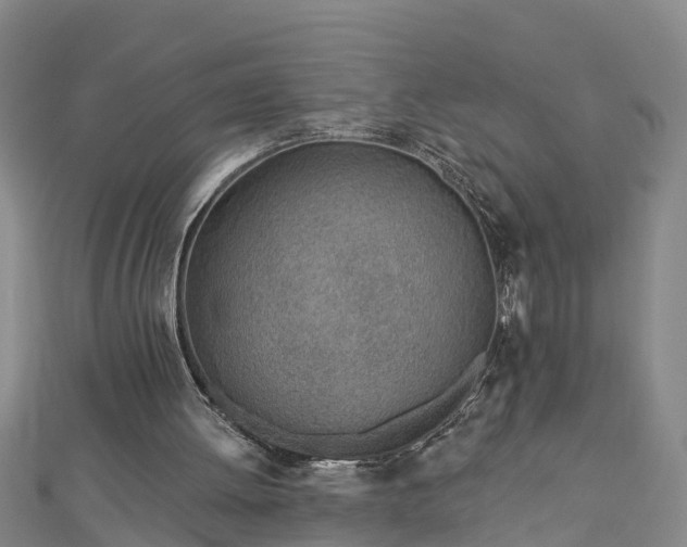 X0000113000052200909031301