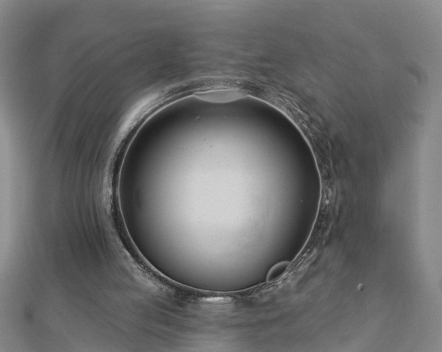 X0000113000053200909031301