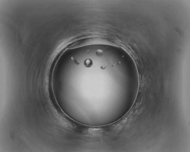 X0000113000055200909031301