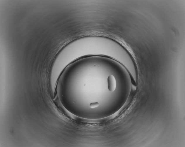 X0000113000057200909031301