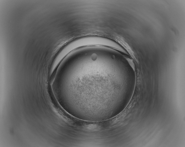 X0000113000058200909031301