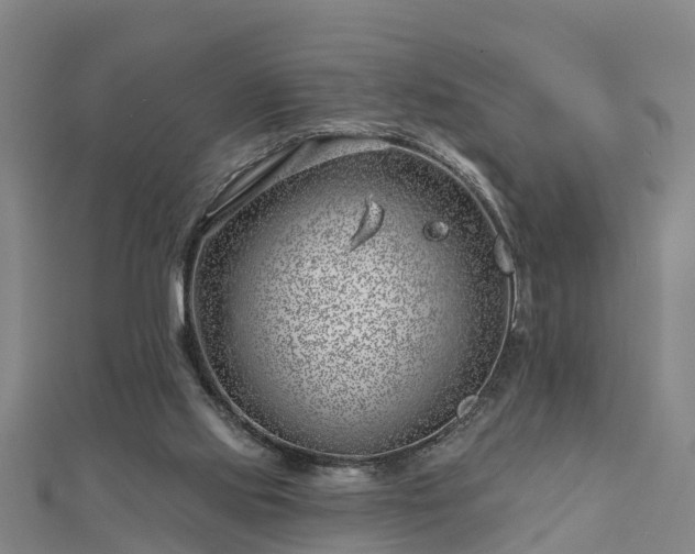 X0000113000061200909031302