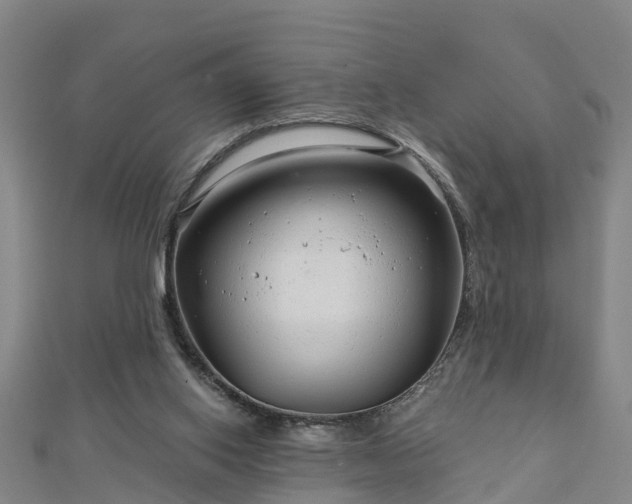 X0000113000062200909031302