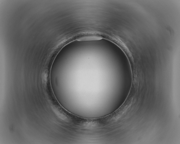 X0000113000063200909031302