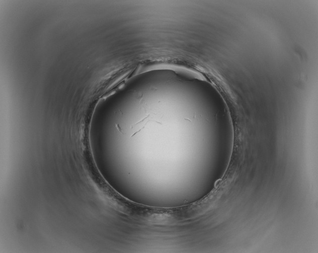 X0000113000066200909031302