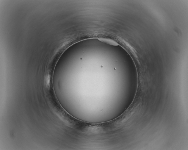 X0000113000067200909031302