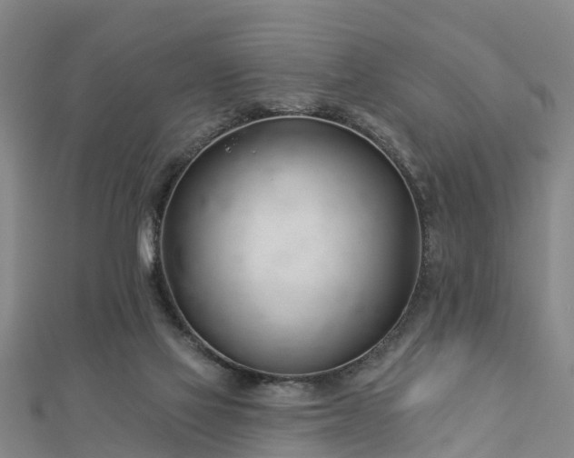 X0000113000069200909031302