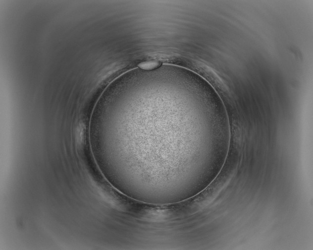 X0000113000071200909031302