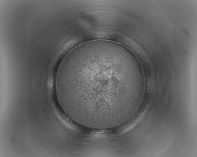 X0000113000072200909031302