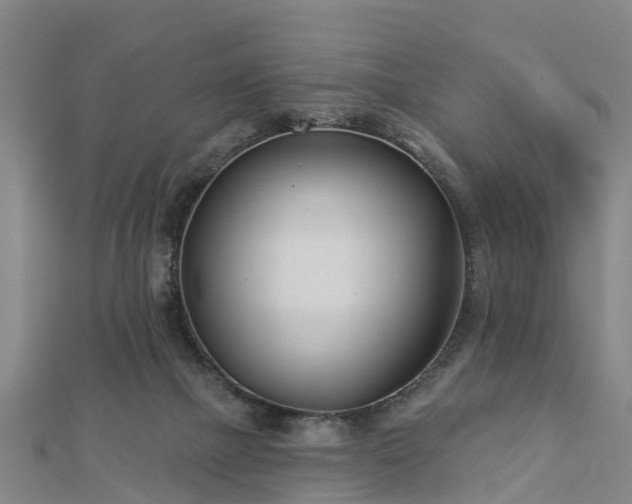 X0000113000073200909031302