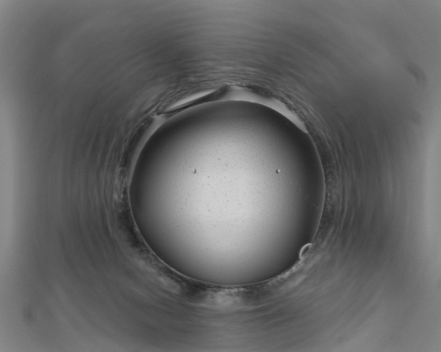 X0000113000078200909031302