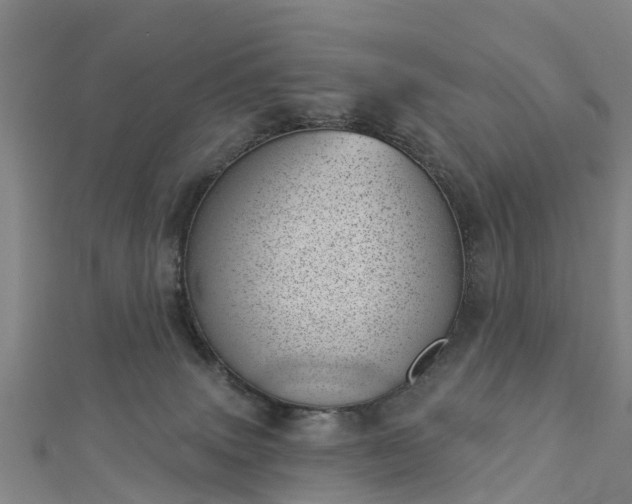 X0000113000083200909031302