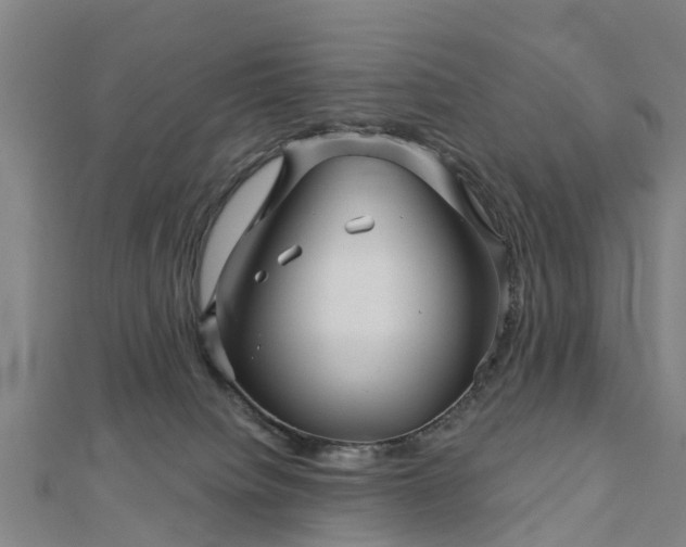 X0000113000084200909031302